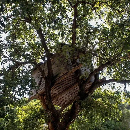 Fattoria Armonia Bauernhof